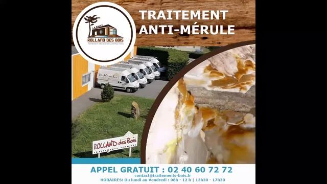 Traitement mérule : TRAITEMENT FONGICIDE (anti-mérule). смотреть онлайн