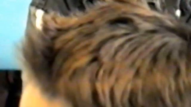 Урок Англ Языка 5-З класс 1998 смотреть онлайн