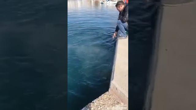 Ловля осьминогов Греция ноябрь 2019 смотреть онлайн