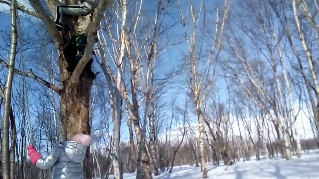 Ребенок делает сальто с дерево он ошарашенный смотреть онлайн