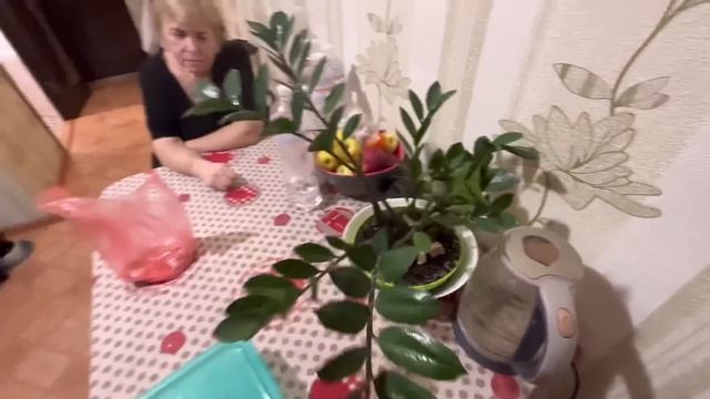 Надя очень расстроилась ! Привезу воду! Т.В. назвала жадной ? смотреть онлайн