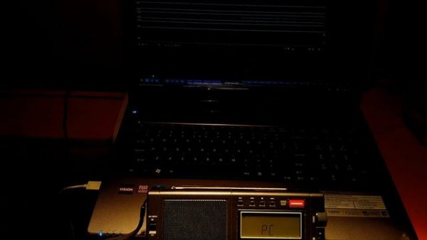 Еще голосовые фишки Tecsun PL-990