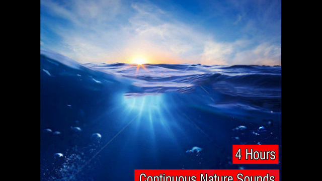 Amazing Natural Sounds of the Sea Recorded in 3D Surround Sound смотреть онлайн