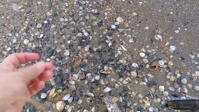 #Анапа Утро у Чёрного моря смотреть онлайн