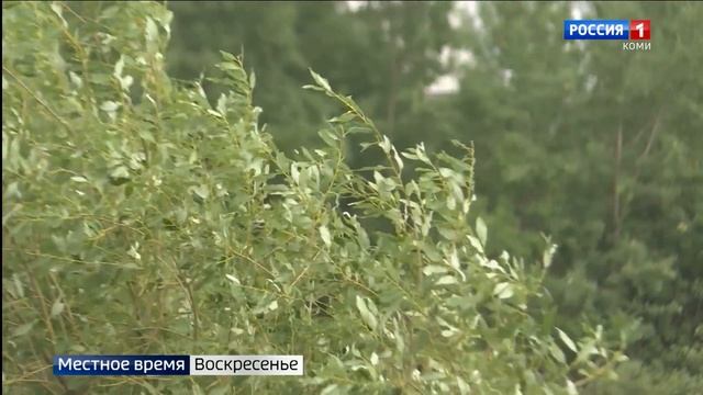 Прогноз погоды в Республике Коми на неделю смотреть онлайн