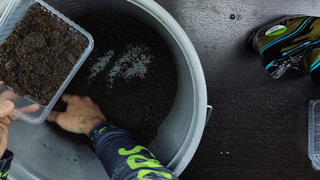 Как сделать пылящий корм? смотреть онлайн