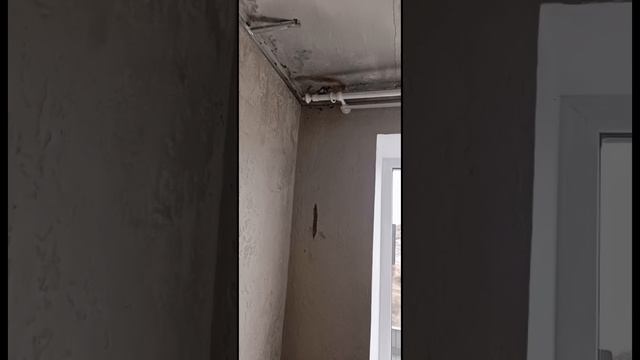 Меня затопили, причём два раза за день!!! По вине ЖКХ и строителей по КАП ремонту??♀️! смотреть онлайн