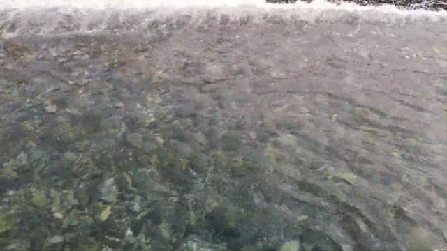 Черное море. Адлер. Огонек. Чистейшая вода. 30.08.2019 смотреть онлайн