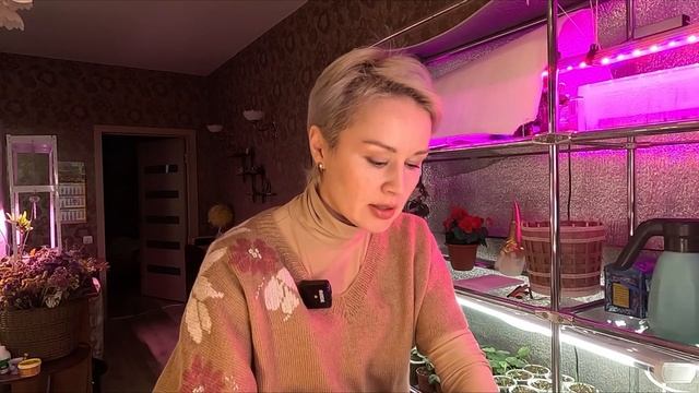 РАССАДА РАДУЕТ.ПОЛУЧИЛА ХИМИЮ ПРОТИВ ВРЕДИТЕЛЕЙ. смотреть онлайн