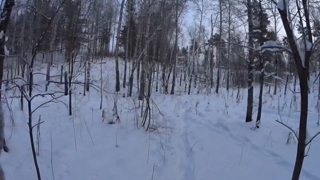 ATA NEO 12 дробовой ствол 610 мм, дробь #1 на 44 метра смотреть онлайн