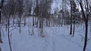 ATA NEO 12 дробовой ствол 610 мм, дробь #1 на 44 метра