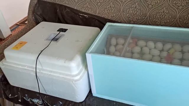 Работа любит или страшная профессия Домохозяйка смотреть онлайн