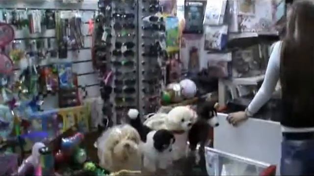 компьютер плюс.mp4 смотреть онлайн