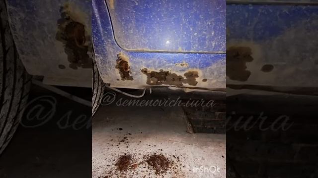 Золотая тройка автомира