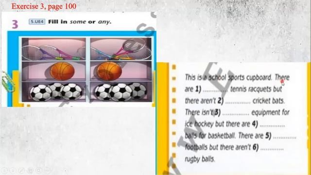 Excel 5. Module 8. Some/any. How much/How many? смотреть онлайн