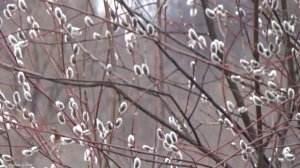 Рыбалка на Поплавок в Апреля на Оке и рядом!