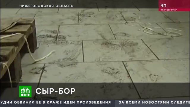 Сырная косичка подсоленная потом работников смотреть онлайн