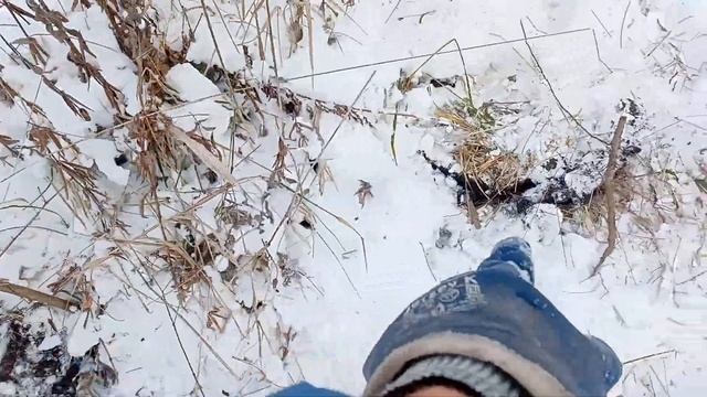 Посадка под Снег,Черенков Ивы, Фундука,Малины)) смотреть онлайн