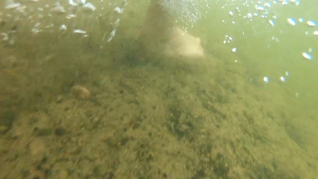 [4SUP.CZ] Děti také rády pádlují na paddleboardech смотреть онлайн