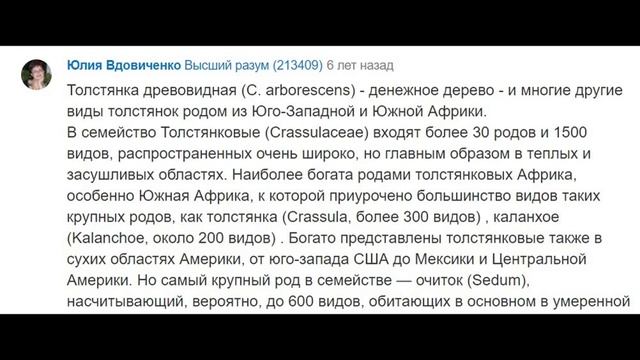Где родина толстянки смотреть онлайн