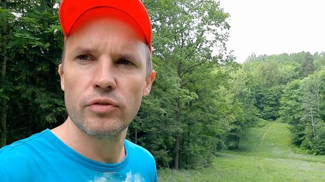 Какие деревья растут вокруг Петербурга? Ещё один секрет Дудергофских высот. смотреть онлайн