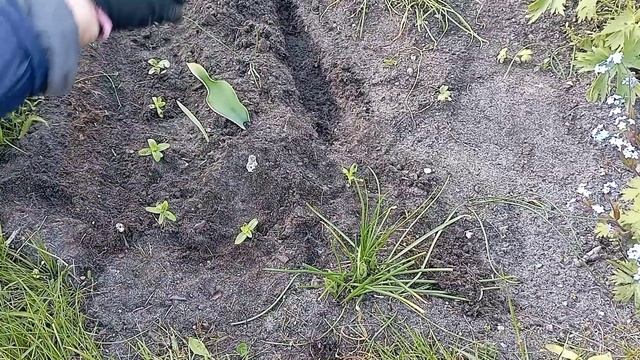 Vlog/10 мая 2023/чуть-чуть работы в огороде/новая почта шокирует/ скоро домой смотреть онлайн