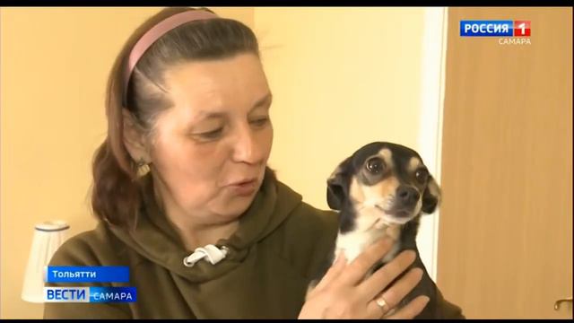 В Самарской области сегодня под опекой находятся почти полторы тысячи жителей Донбасса смотреть онлайн