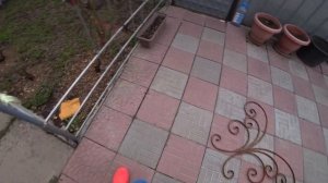 Как сделать опору для плетистой розы. Сделай сам опору для розы.