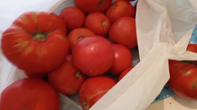 30 августа 2022 г. Днепр. обл. Вкусная малина. смотреть онлайн