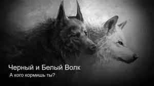 ПЕСНЯ ПРО ДВУХ ВОЛКОВ