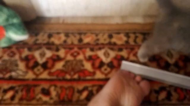 Ксюша с котятами умняшка валяется кошка кошка и котята