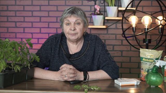 Болезни томатов ? Белые пятна рассаде помидор. Что делать? смотреть онлайн