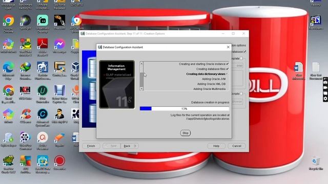 Oracle Database 11G setup смотреть онлайн