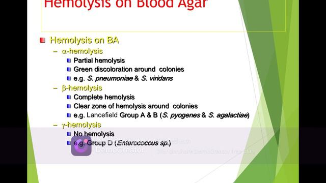 STREPTOCOCCAL INFECTIONS смотреть онлайн