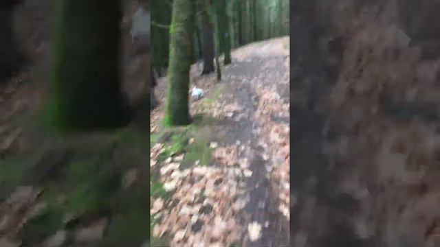 Обо всем и ни о чем #10 смотреть онлайн