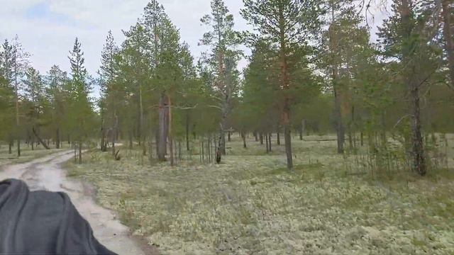 На урочище Пэйдяйвынгы. Мотопоездка. Часть 2. Направления как линейкой расчертили карту смотреть онлайн