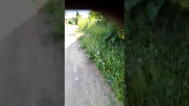 Сходили в заброшку смотреть онлайн