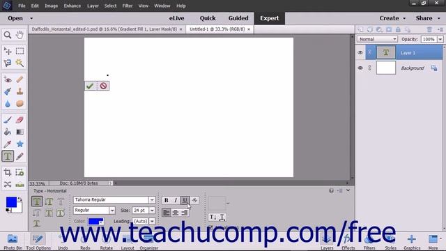 Photoshop Elements 15 Tutorial Creating Point Text Adobe Training смотреть онлайн