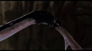 Встреча с “ Мозгом “  Жуков   Арахнидов  Звёздный десант  1997