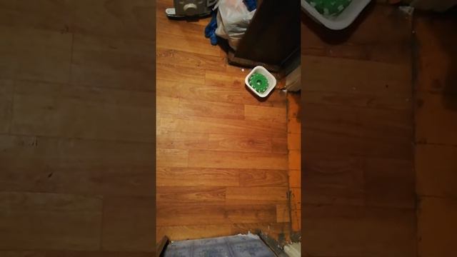 Йорк Электросталь