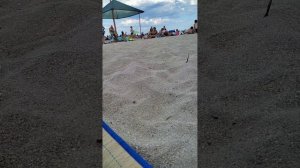 Отдых и Жилье в Седово на Азовском море