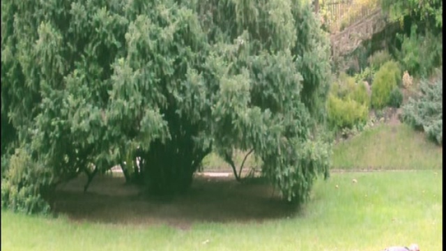 The Avener - Fade Out Lines MTV Hits смотреть онлайн