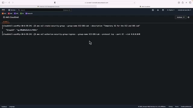 Launching and Managing EC2 and EBS смотреть онлайн