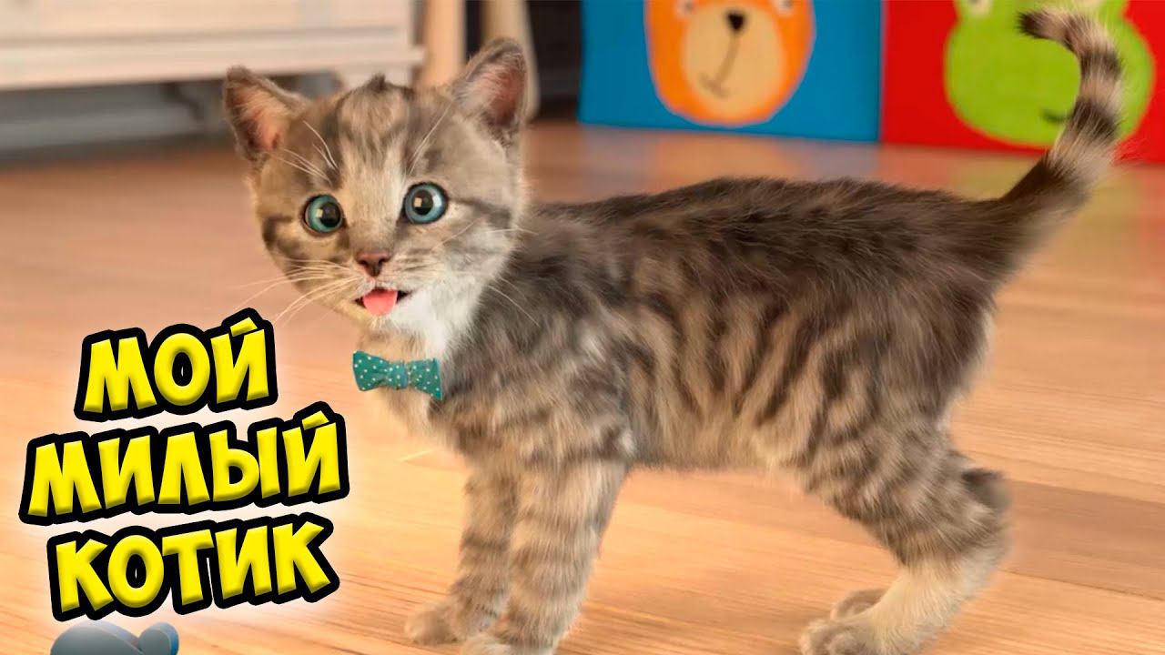 Мой милый котенок Игра про котика Ухаживаю за питомцем смотреть онлайн
