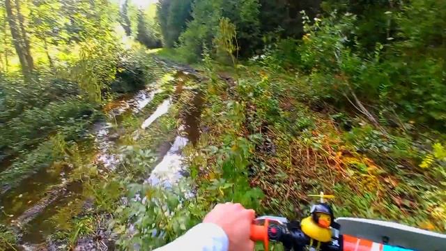 ЖЁСТКИЙ ПРОХВАТ НА ПИТБАЙКЕ KAYO125?|| ПИТ НЕ ХОЧЕТ ЕХАТЬ!!! ЧТО СЛУЧИЛОСЬ!?