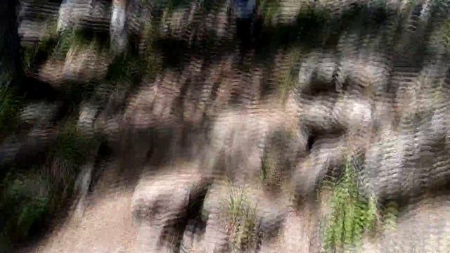 Встретили РУЧНУЮ ЛИСУ в походе. ТАГАНАЙ: Двухголовая сопка (По Уралу на авто ч.3) смотреть онлайн