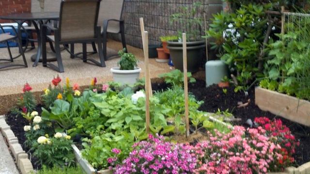 Как ВЫРОВНЯТЬ УЧАСТОК под ОГОРОД и ГАЗОН смотреть онлайн