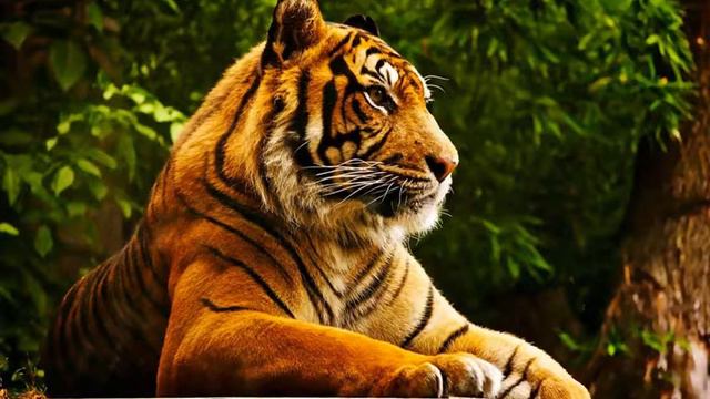 песня ну и что што я псих смотреть онлайн