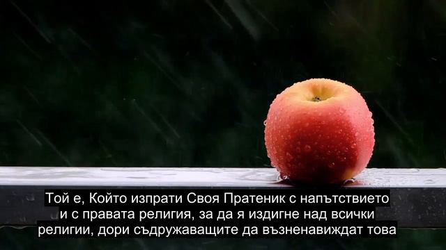 Глава 61 Рангите, Красива Декларация На Корана, Над 90 Езикови Субтитри смотреть онлайн