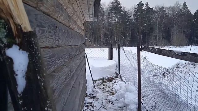У дяди Жени 17 февраля 2022 смотреть онлайн